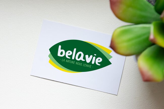 Création du logo Belavie