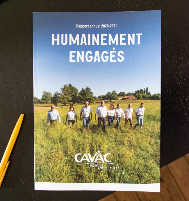 Conception de la charte graphique du rapport annuel 2020-21 Cavac